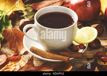 Concetto stagionale di calda tazza di tè con rose selvatiche, spezie, limoni e circondato da autunno decorazione rustica (effetto vintage) Foto Stock