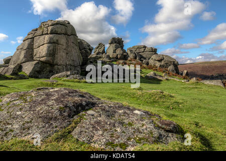 Bonehill Rocks, Dartmoor, Devon, Inghilterra, Regno Unito Foto Stock