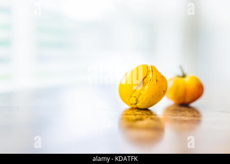 Macro closeup di due piccoli incrinato cimelio di brutto piccolo rosso, giallo o arancio pomodori sul tavolo da finestra con la riflessione Foto Stock