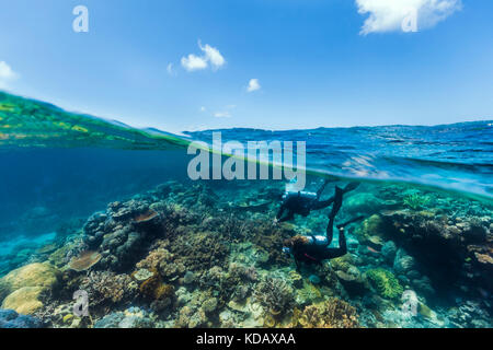 Split shot dei subacquei di esplorare le formazioni coralline di Agincourt Reef, Great Barrier Reef Marine Park, Port Douglas, Queensland, Australia Foto Stock