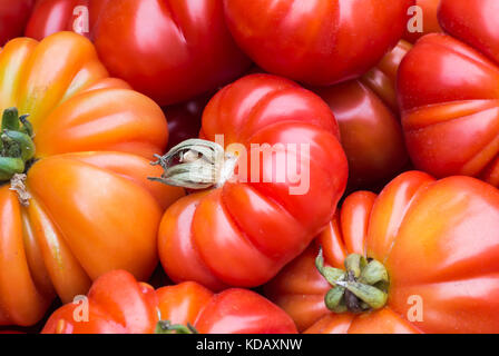 Pomodori primo piano Foto Stock