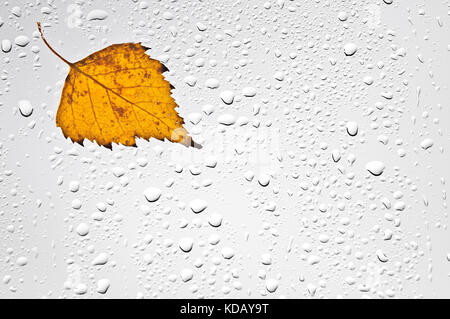 Colorato Foglie di autunno e gocce di pioggia sulla finestra. Foto Stock