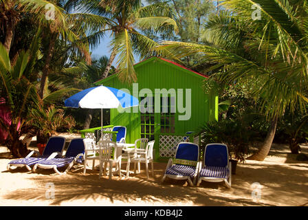 Exotic Tropical hut Foto Stock