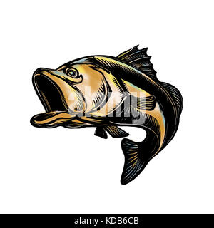 Stile Scratchboard illustrazione di un LARGEMOUTH BASS , Barramundi o Asian spigola saltando su sfondo isolato. Foto Stock