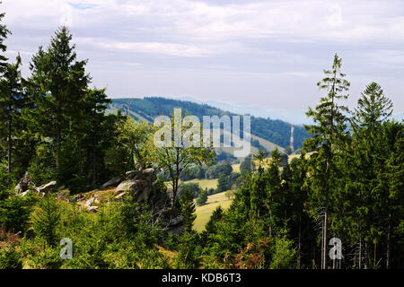 Vasto panorama vista dalla collina boschiva nell'Owl montagne (scabrosi sowie) landscape park, sudetes, paesaggio di campagna nel sud-ovest della Polonia. Foto Stock
