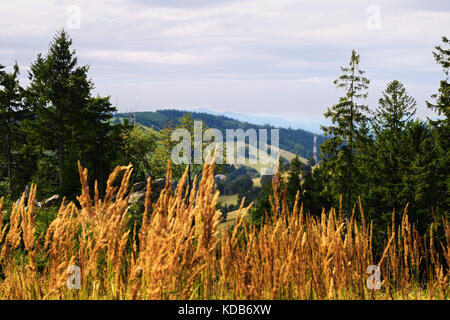 Vasto panorama vista dalla collina boschiva nell'Owl mountains landscape park, sudetes, paesaggio di campagna nel sud-ovest della Polonia. Foto Stock