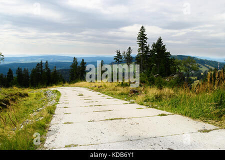 Strada con lastre di calcestruzzo pavimentazione sulla collina in owl montagne (scabrosi sowie) landscape park, sudetes, a sud-ovest della Polonia. Foto Stock