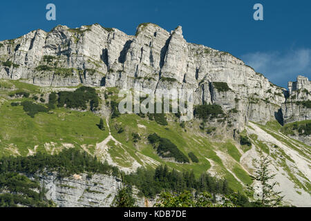 Rockface nelle Alpi austriache (perdente, Salzkammergut) in estate Foto Stock