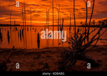 Incredibile sunrise dipinge l'acqua e il cielo nel bel colore dorato Foto Stock