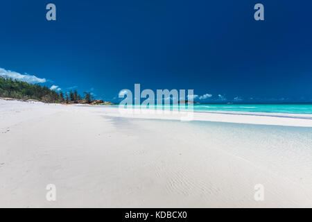 Incredibile famosa whitehaven beach nelle isole Whitsunday, Queensland, Australia Foto Stock