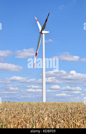 Wind Farm in alibunar, serbia Foto Stock