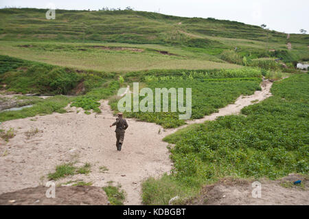 Campagne Nord coréenne le 7 ottobre 2012. Paese in corea del Nord il 7 ottobre. Foto Stock