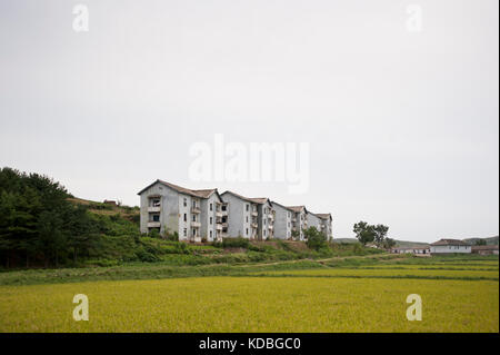 Campagne Nord coréenne le 7 ottobre 2012. Paese lato il 7 ottobre. Foto Stock