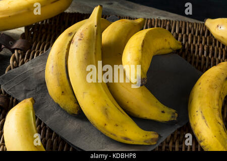 Materie organico giallo banane plantano pronto per tritare Foto Stock