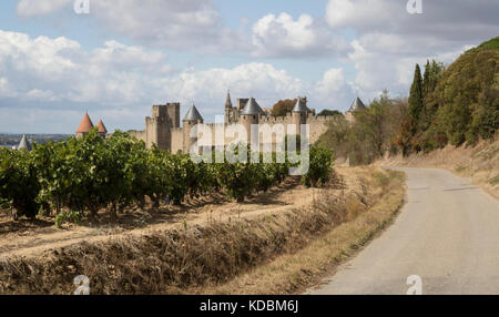 Carcassonne, antica città murata, visto da vigneti nelle vicinanze Foto Stock