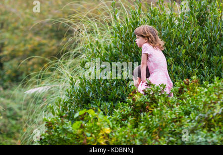 Giovane ragazza viene trasportato su un uomo di spalle, un piggyback ride, attraverso un parco nel Regno Unito. Foto Stock