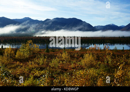 I colori autunnali ad ampio passano lungo Prks autostrada a sud di Cantwell, Alaska Foto Stock