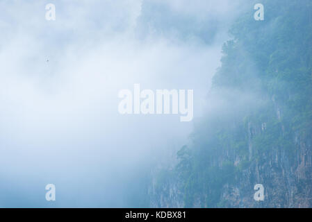Una fitta nebbia copre le foreste di montagna in Thailandia Foto Stock