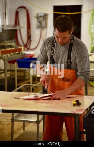 Lavoro duro fisherman eviscerazione e sfilettatura pesce fresco al porto di baileys pesca co. nella porta county community di baileys Harbour, Wisconsin, Stati Uniti d'America Foto Stock