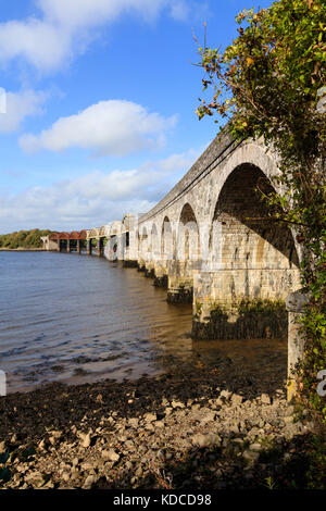 Pietra e Metallo archi del ponte della ferrovia che porta la linea di Tamar oltre l'acqua di marea del fiume Tavy estuario dove si congiunge con la Tamar Foto Stock