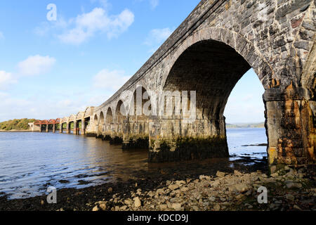 Pietra e Metallo archi del ponte della ferrovia che porta la linea di Tamar oltre l'acqua di marea del fiume Tavy estuario dove si congiunge con la Tamar Foto Stock