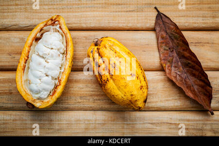 Mature indonesia cacao setup sul legno rustico sfondo. Foto Stock