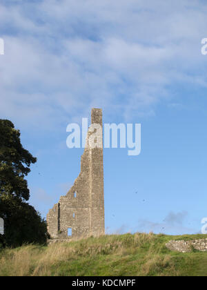 Giallo Steeple nel rivestimento, nella contea di Meath, Irlanda Foto Stock