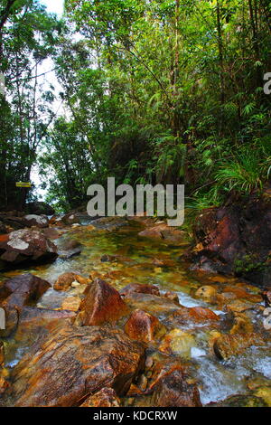 Fast acqua che scorre nella foresta pluviale tropicale, chemerong berembun langsir, cbl malaysia Foto Stock