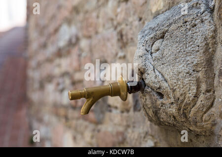 Dettaglio di un antica fontana in Assisi (Italia) Foto Stock