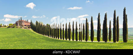 Visualizzazione classica del casale toscano, campo verde e cipresso righe. lunga vasta banner Foto Stock