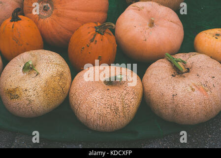 Grande varietà di zucche alla zucca annuale pesare a Steyning Farmers Market in West Susssex, Inghilterra. Foto Stock