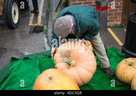 Un uomo le lotte per il sollevamento di una zucca di grandi dimensioni in modo che possa essere pesato presso la zucca annuale pesare a Steyning Farmers Market in West Susssex, Inghilterra. Foto Stock