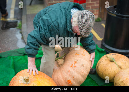 Un uomo le lotte per il sollevamento di una zucca di grandi dimensioni in modo che possa essere pesato presso la zucca annuale pesare a Steyning Farmers Market in West Susssex, Inghilterra. Foto Stock