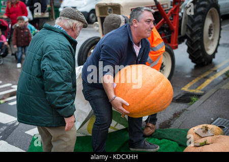 Dopo aver pesato un uomo fa fatica a tenere una grande zucca come egli ritorna all'area di visualizzazione in zucca annuale pesare a Steyning agricoltori M Foto Stock