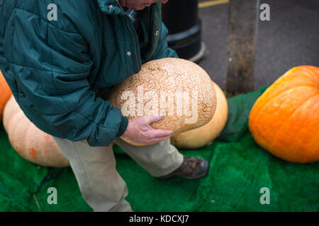 Un uomo che porta una zucca durante la zucca annuale pesare a Steyning nel West Sussex, in Inghilterra. Foto Stock