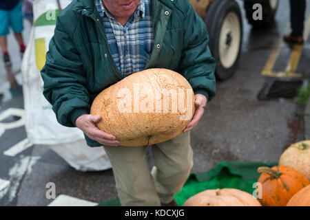 Dopo aver pesato un uomo fa fatica a tenere una grande zucca come egli ritorna all'area di visualizzazione in zucca annuale pesare a Steyning agricoltori M Foto Stock