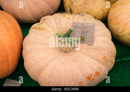 Grande varietà di zucche alla zucca annuale pesare a Steyning Farmers Market in West Susssex, Inghilterra. Foto Stock