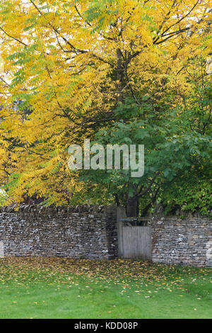 Alberi di autunno e di un cancello in legno in St Andrew's sagrato in autunno, Naunton, Cotswolds, Gloucestershire, Inghilterra Foto Stock