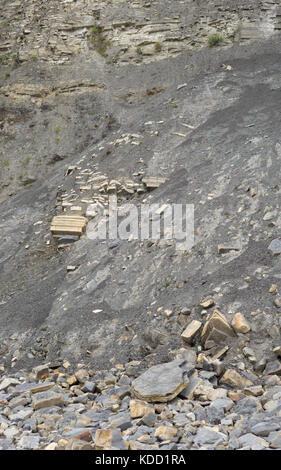 Roccia caduti sulla spiaggia e strati di roccia nelle scogliere vicino a Penarth Testa, Penarth, Wales, Regno Unito Foto Stock