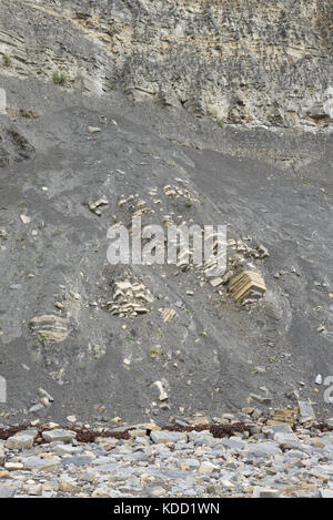 Roccia caduti sulla spiaggia e strati di roccia nelle scogliere vicino a Penarth Testa, Penarth, Wales, Regno Unito Foto Stock