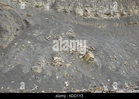 Caduto il rock e strati di roccia nelle scogliere vicino a Penarth Testa, Penarth, Wales, Regno Unito Foto Stock