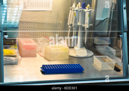 Boxe laminare in laboratorio pcr. apparecchiature per il dna la reazione a catena della polimerasi. Foto Stock