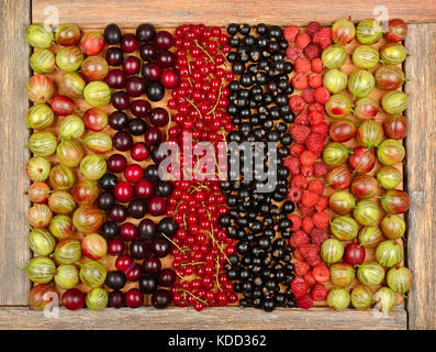 La raccolta di una varietà di frutta (uve secche di Corinto, ribes, lamponi e prugne) su sfondo di legno. La vista dall'alto. Foto Stock