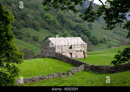 Un fienile di pietra vicino al villaggio di Angram a Swaledale, nello Yorkshire. Foto Stock