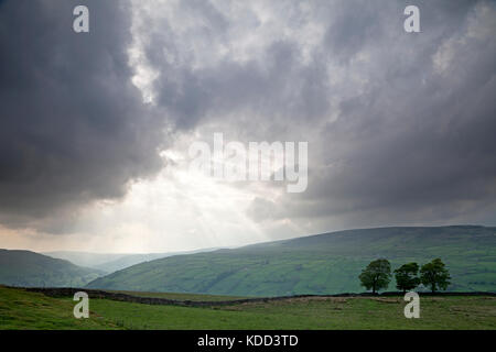 Una vista di swaledale nel Yorkshire Dales National Park. Foto Stock