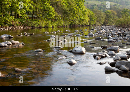 Il fiume swale vicino gunnerside in swaledale, Yorkshire. Foto Stock
