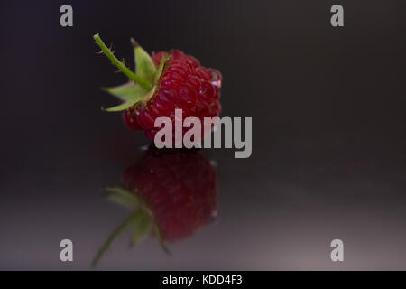 Close up di un lampone con stelo in appoggio su una superficie grigia. la riflessione è visibile. Foto Stock
