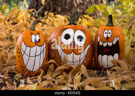 Chiudere fino a tre zucche decorate che sono dipinte con sorrisi, grandi denti e occhi ovali. fotografato tra foglie secche. profondità di campo. Foto Stock
