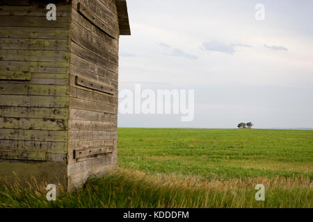 Prairie fienile saskatchewan estate rurale scena canada Foto Stock