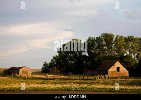 Prairie fienile saskatchewan estate rurale scena canada Foto Stock